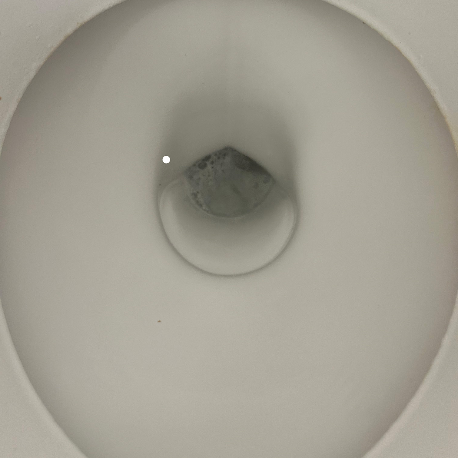Limescale Removal Image 4